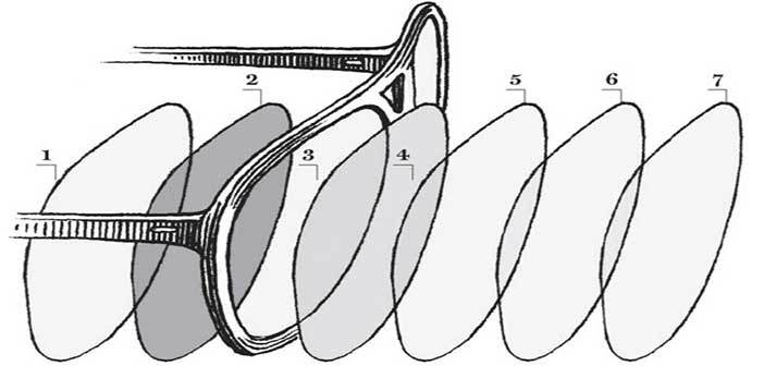 Από τι υλικό είναι φτιαγμένοι οι φακοί στα γυαλιά ηλίου
