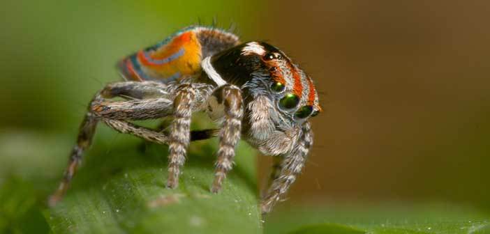 Συνταγές για άριστη όραση