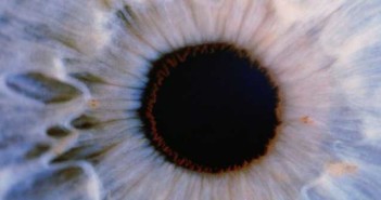 Οι οφθαλμοί νεκρών μπορεί να χαρίσουν το φως