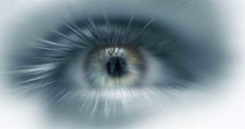 Νέα μελέτη: Η όραση αναπτύχθηκε πριν από 700 εκατομμύρια χρόνια