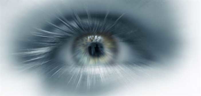 Νέα μελέτη: Η όραση αναπτύχθηκε πριν από 700 εκατομμύρια χρόνια